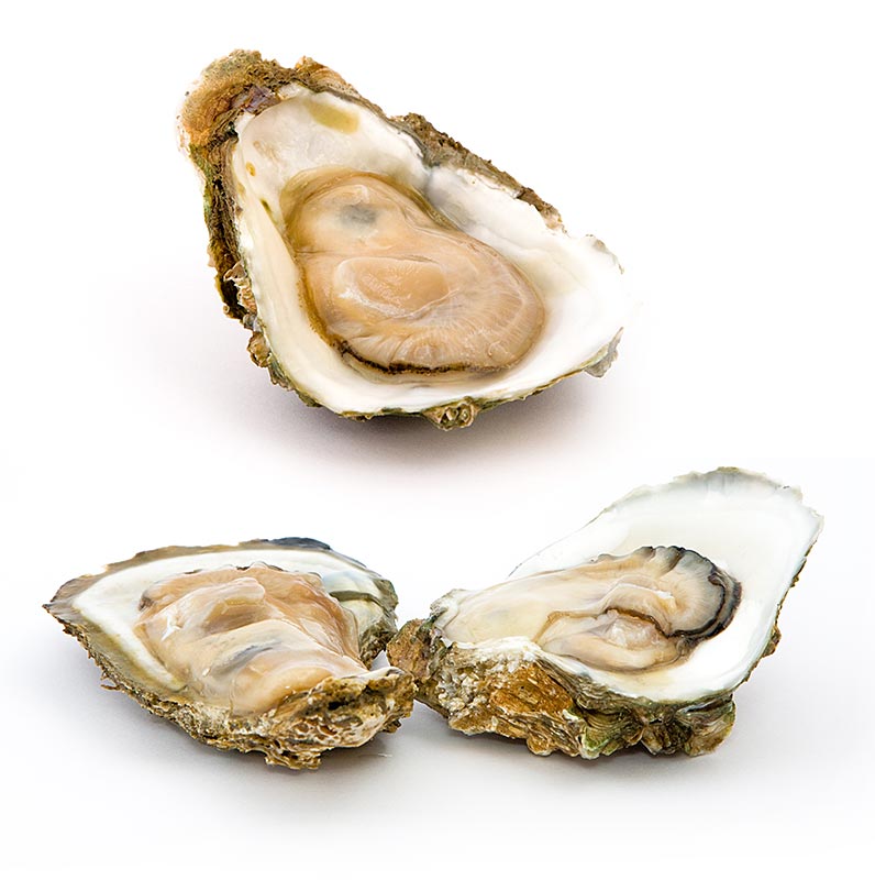 Frische große Austern - Gillardeau G2 (Crassostrea gigas), a ca. 115g - 24 Stück. je ca. 115 g - Kiste