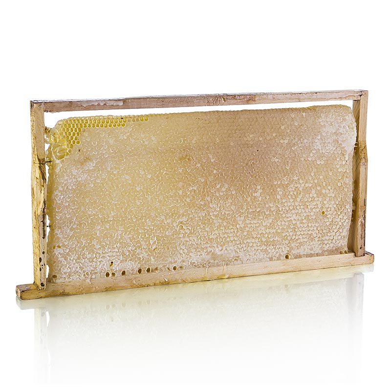 Panal de miel en marco de madera, Turkiye, 24,3x43,5cm - aproximadamente 3,5 kg - Cartulina