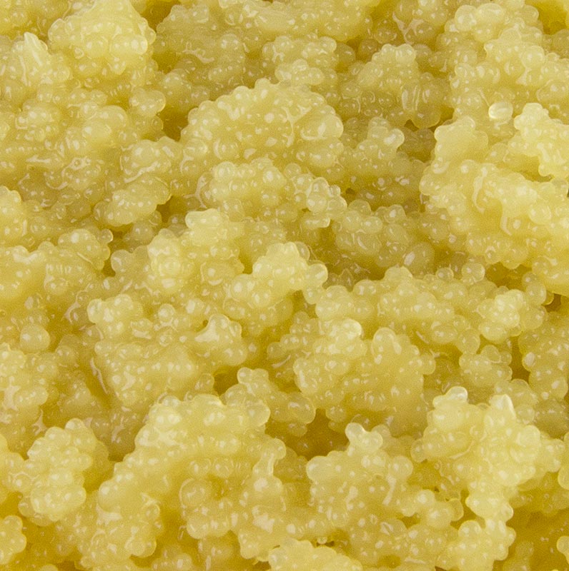 Caviar de algas marinhas Cavi-Art®, sabor gengibre - 500g - Pe pode