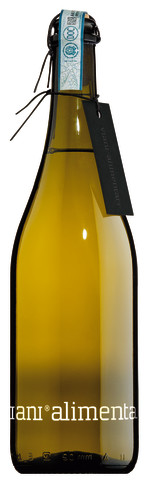 BOLLICINE - Prosecco DOC Frizzante, vino bianco frizzante, acciaio, Viani - 0,75 l - Bottiglia