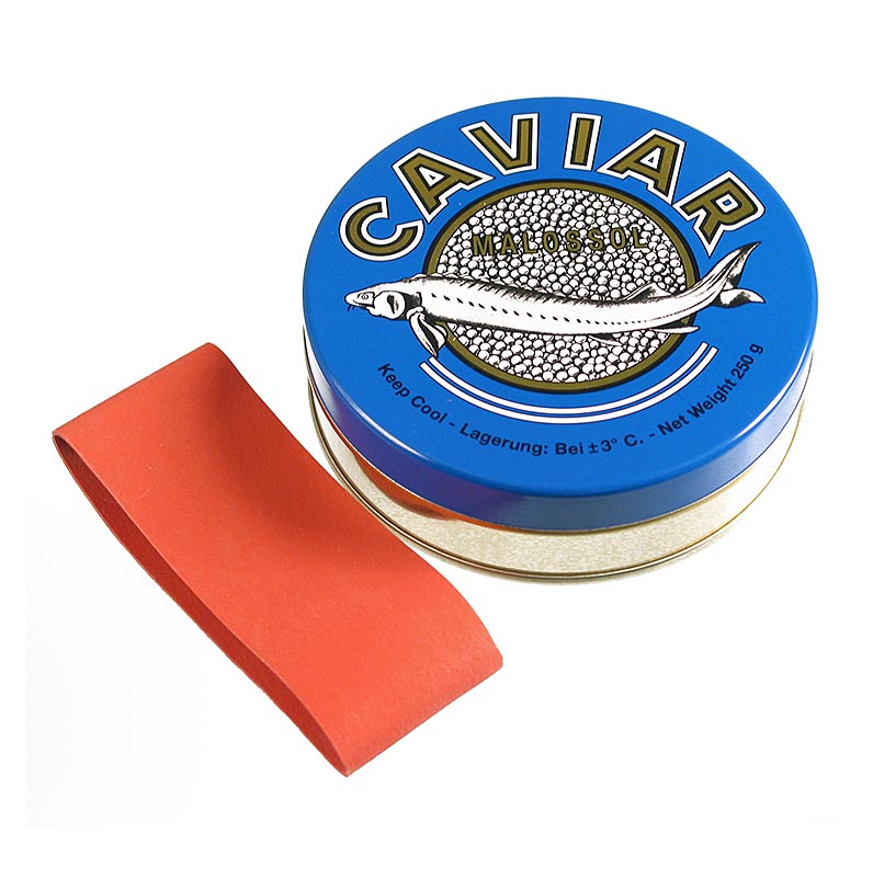 Lata de caviar - azul escuro, com fecho de borracha, Ø 10 cm, para 250g de caviar - 1 pedaco - Solto