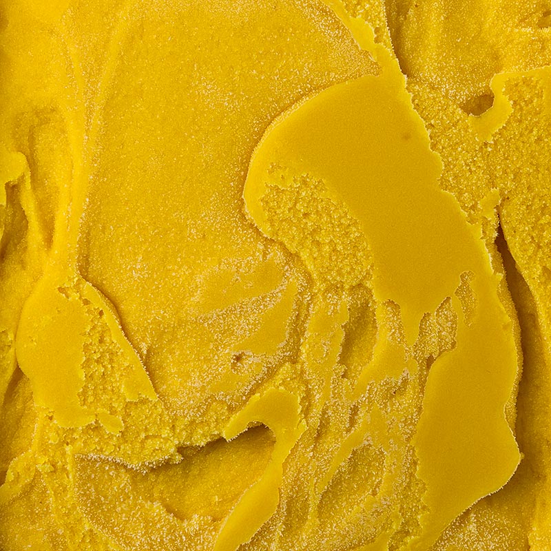 Sorbetto - mango - 2,3 litri - Guscio in PE