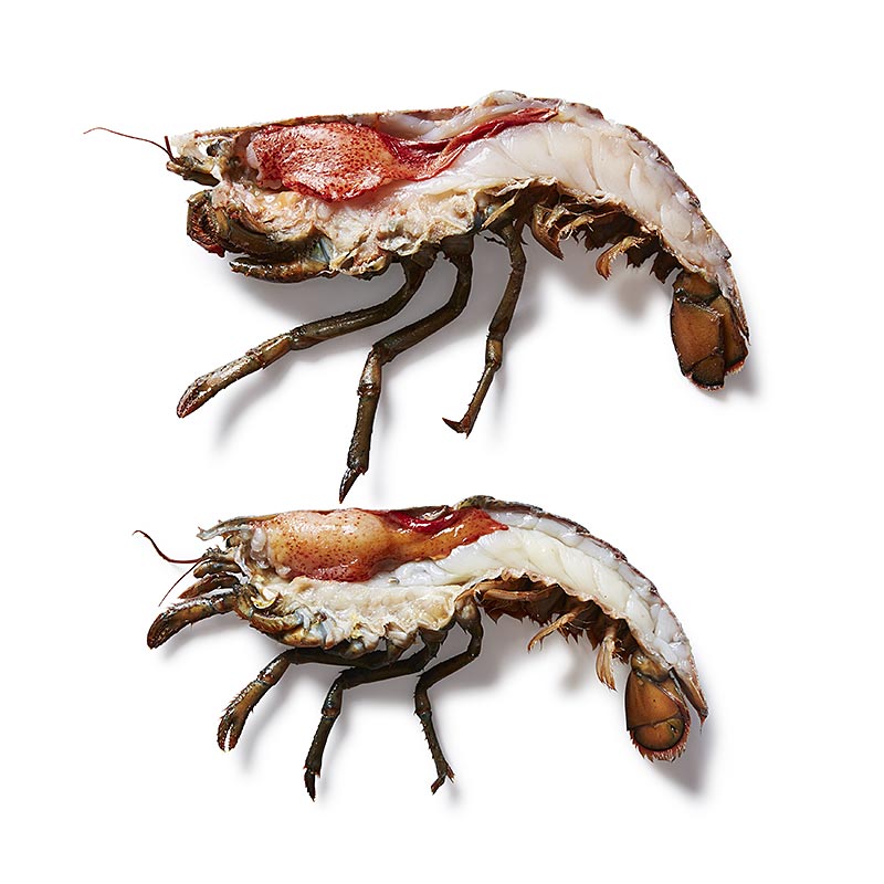 Astice canadese HPL, aragosta tagliata a meta con forbici per conchiglie in sacchetto da cucina - 300 g, 2 pz. - borsa