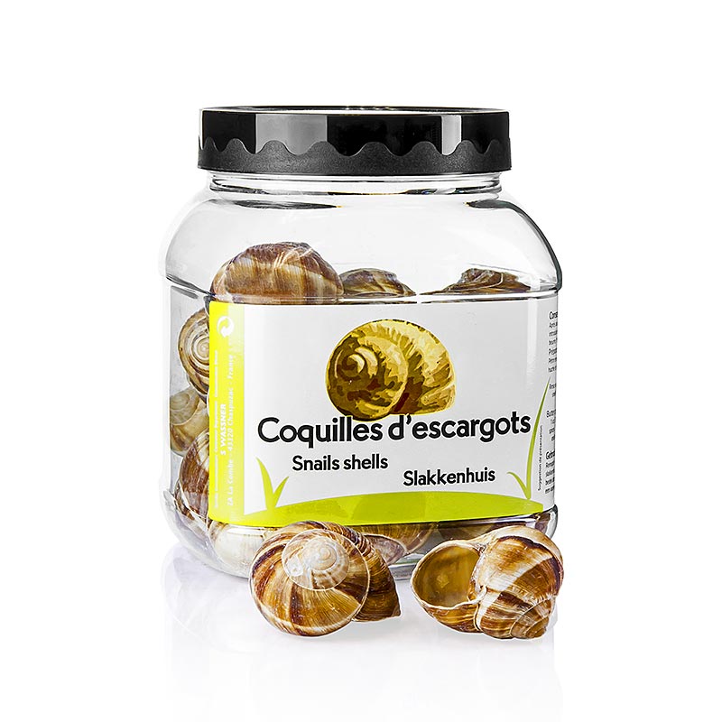 Conchas de caracol No.6 (grande), para relleno o decoracion - 24 piezas - pe puede