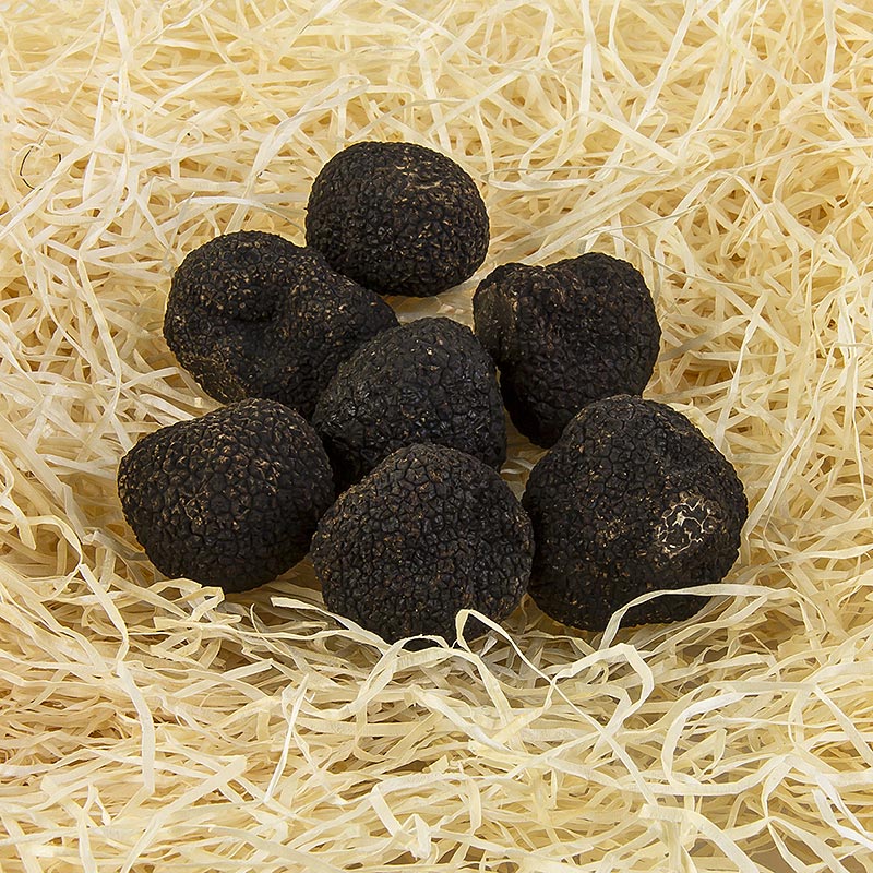 Winter noble truffle tuber melanosporum 2. val, ferskur, litill, Astralia, hnydhi fra ca 30g, juni / agust - a grammi - 