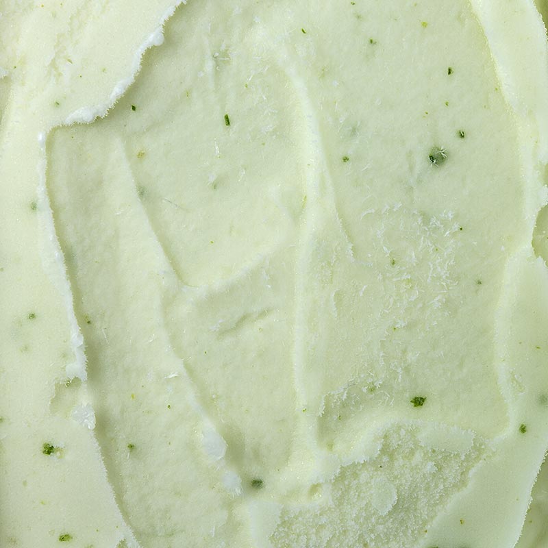 Sorbet - jeruk nipis-rosemary - 2.3L - cangkang PE Sorbet - jeruk nipis-rosemary - 2.3L - cangkang PE