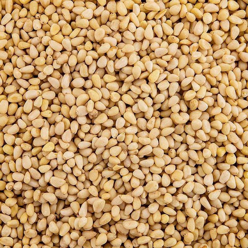 Kacang pinus, dari Tiongkok - 1kg - tas