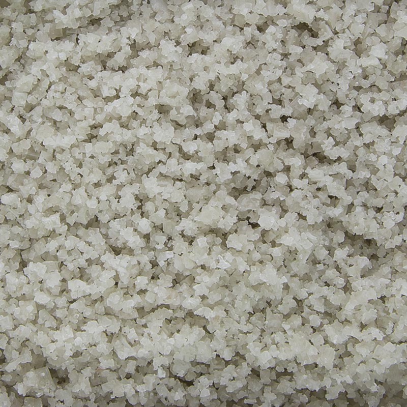 Garam laut, kasar, abu-abu, lembab, Guerande / Perancis, TradySel - 1kg - tas
