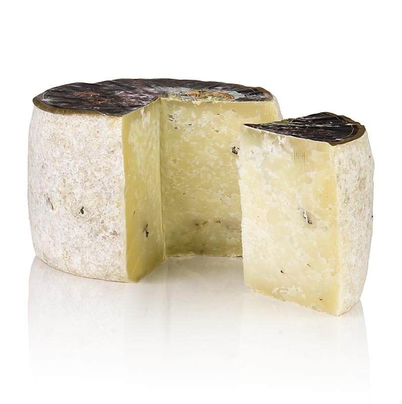 Pecorino Tartuffo Premium, queijo de ovelha com trufa, picante, envelhecido 5 meses - aproximadamente 650g - vacuo Pecorino Tartuffo Premium, queijo de ovelha com trufa, picante, envelhecido 5 meses - aproximadamente 650g - vacuo