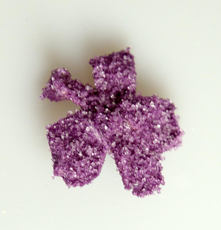Echte Veilchen-Blüten, violett, ganz kandiert, Ø ca. 3cm, essbar, Flor & Flor - 48 g, 24 St - Karton