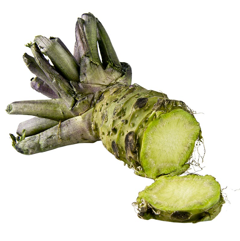 Wasabi, fresco, intero, Giappone - circa 120 g - vuoto Wasabi, fresco, intero, Giappone - circa 120 g - vuoto