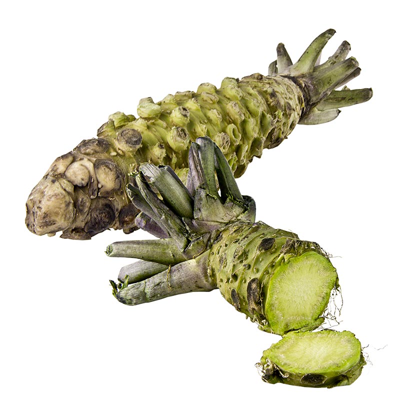 Wasabi, fresco, intero, Giappone - circa 120 g - vuoto Wasabi, fresco, intero, Giappone - circa 120 g - vuoto