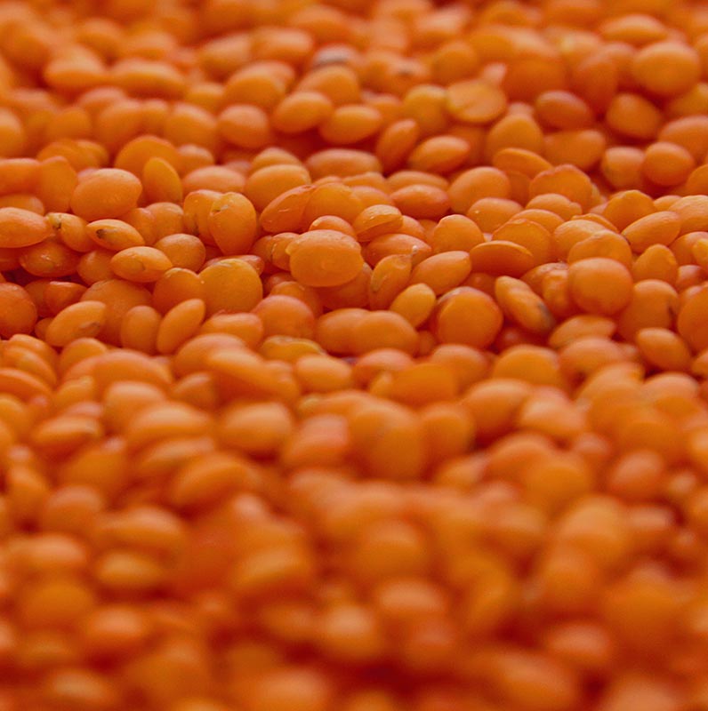 Linsen, rot, Linsen, klein, Türkei - 1 kg - Beutel Linsen, rot, Linsen, klein, Türkei - 1 kg - Beutel