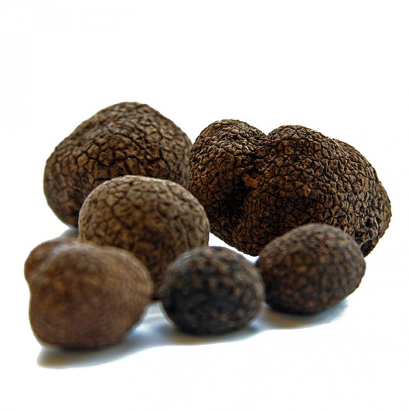 Trufa asiatica - tuber indicum - 500g - vacio