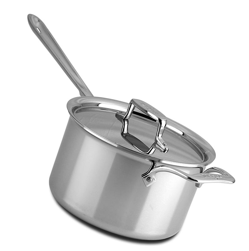 ALL-CLAD - Stielkasserolle mit Griff und Deckel, Induktion, d5 (Edelstahl) - 20,3 cm Ø - Karton ALL-CLAD - Stielkasserolle mit Griff und Deckel, Induktion, d5 (Edelstahl) - 20,3 cm Ø - Karton
