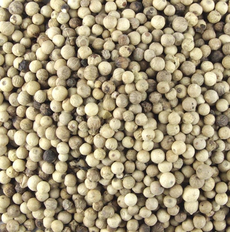 Weißer Pfeffer, ganz - 1 kg - Beutel Weißer Pfeffer, ganz - 1 kg - Beutel