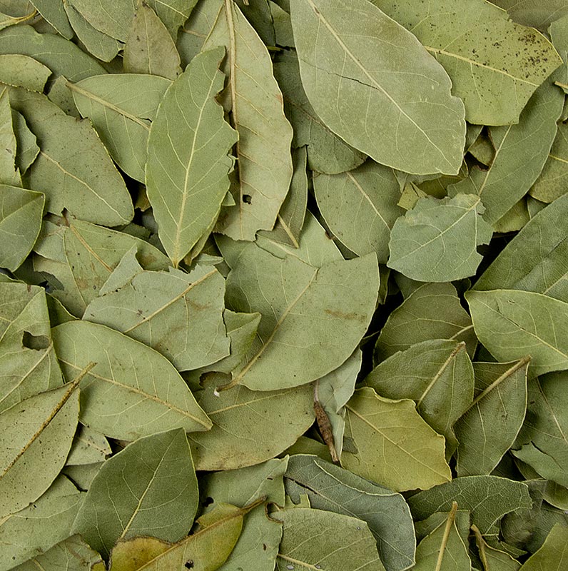 Folhas de louro Spice Garden, secas - 15g - Vidro