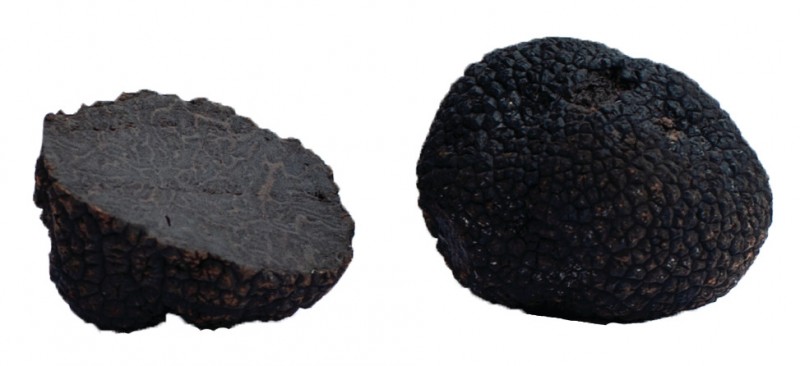 Truffes Brossees Extra, dadih truffle hitam, timah, Maison Gaillard - 100 g - boleh