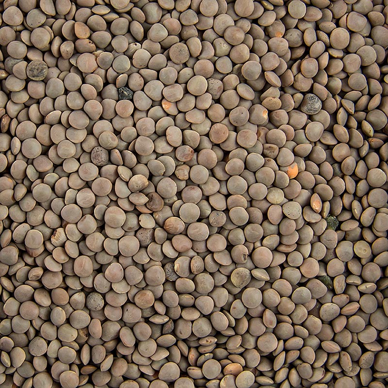 Lentil, coklat, kecil - 1kg - tas