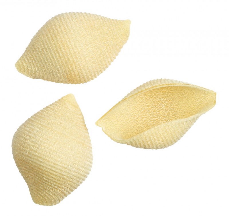 Conchiglioni IGP, pasta yang terbuat dari semolina gandum durum, faella - 500 gram - mengemas