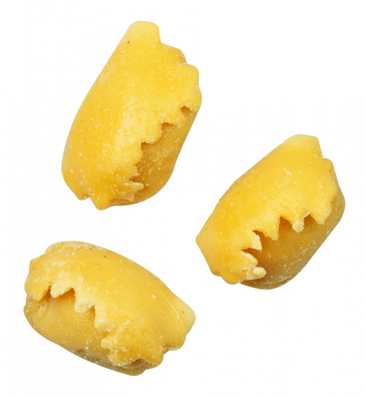 Ravioli del Plin, carne, Ravioli rellenos de carne, Pastificio Plin - 250 gramos - embalar