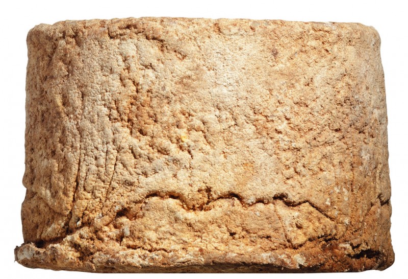 Castelmagno di montagna DOP, forma, Kuhrohmilchkäse, 4-6 Monate gereift, La Meiro - ca. 5 kg - Stück Castelmagno di montagna DOP, forma, Kuhrohmilchkäse, 4-6 Monate gereift, La Meiro - ca. 5 kg - Stück