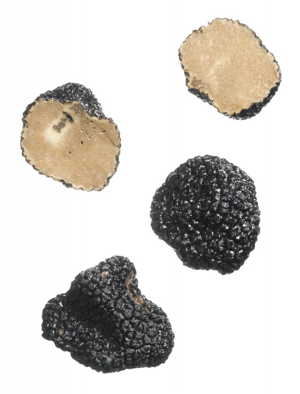 Tartufi estivi interi, whole summer truffles, tuber aestivum - 25 g - Glass