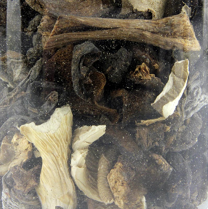 Champignons Mixtes - Mélange Forestier, Plantin - 50 g - Pe-dose