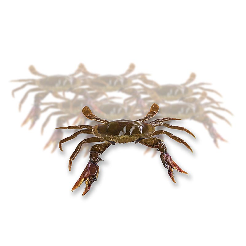Soft Shell Mangrove Crab, Paitoon - 1 kg, 14 stycken - Kartong