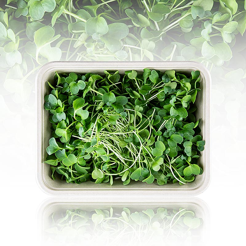 fullpakket med mikrogroenn reddik, veldig unge blader/froeplanter - 100 g - PE-skall fullpakket med mikrogroenn reddik, veldig unge blader/froeplanter - 100 g - PE-skall