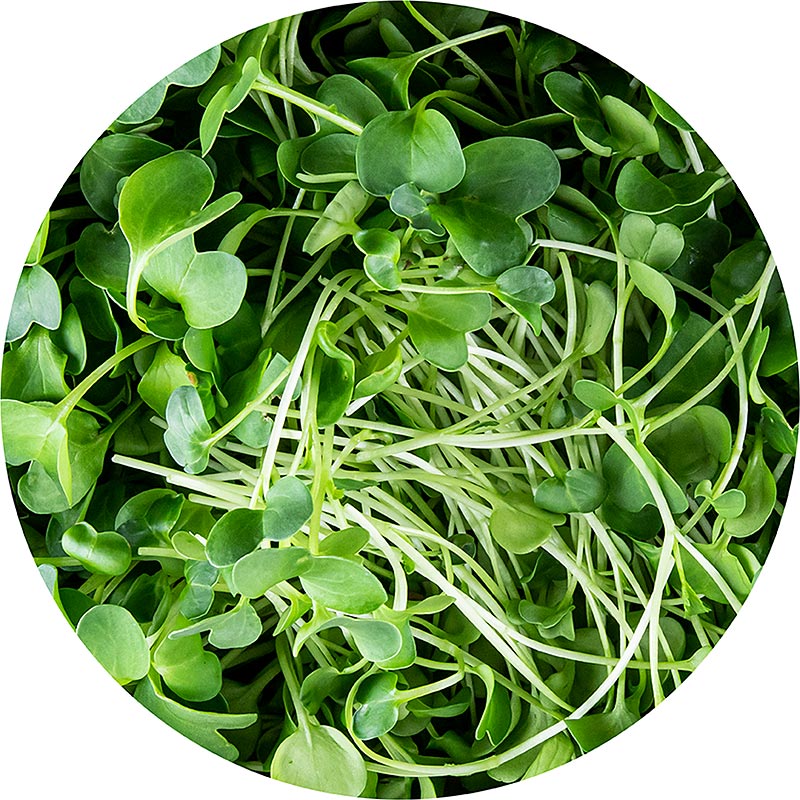 fullpakket med mikrogroenn reddik, veldig unge blader/froeplanter - 100 g - PE-skall fullpakket med mikrogroenn reddik, veldig unge blader/froeplanter - 100 g - PE-skall