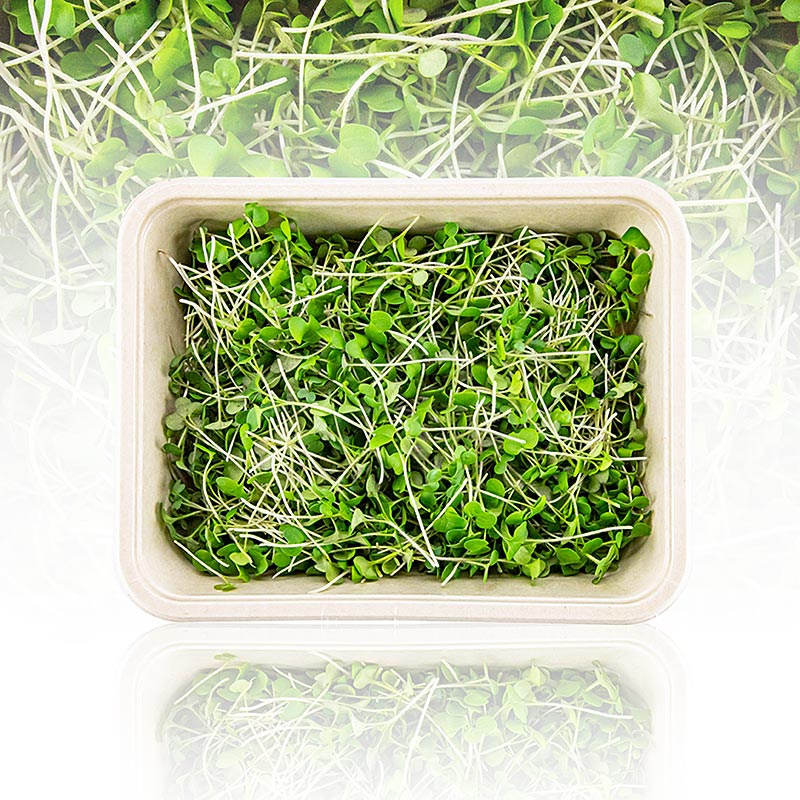 lleno de microgreens mostaza, hojas / plantulas muy jovenes - 75g - carcasa de PE