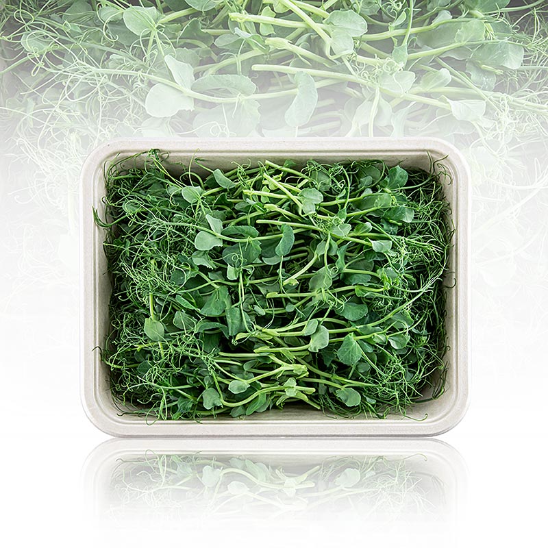 fullpakket med mikrogroenne erter, veldig unge blader/froeplanter - 100 g - PE-skall fullpakket med mikrogroenne erter, veldig unge blader/froeplanter - 100 g - PE-skall
