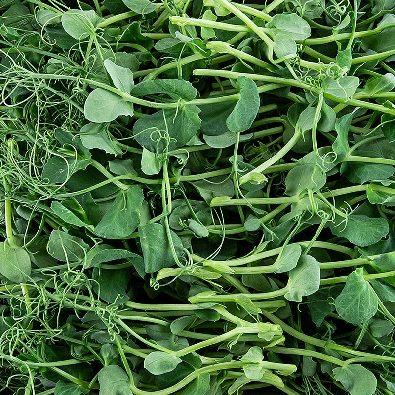fullpakket med mikrogroenne erter, veldig unge blader/froeplanter - 100 g - PE-skall fullpakket med mikrogroenne erter, veldig unge blader/froeplanter - 100 g - PE-skall