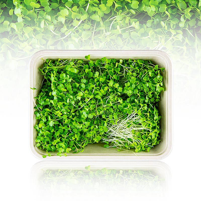 dikemas dengan brokoli microgreens, daun / bibit yang sangat muda - 75 gram - cangkang PE