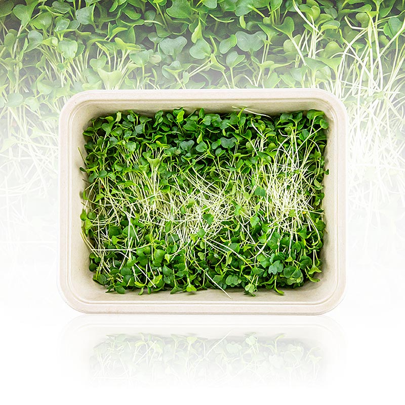 dibungkus dengan kangkung mikrohijau, daun / anak pokok yang sangat muda - 75g - cangkerang PE dibungkus dengan kangkung mikrohijau, daun / anak pokok yang sangat muda - 75g - cangkerang PE