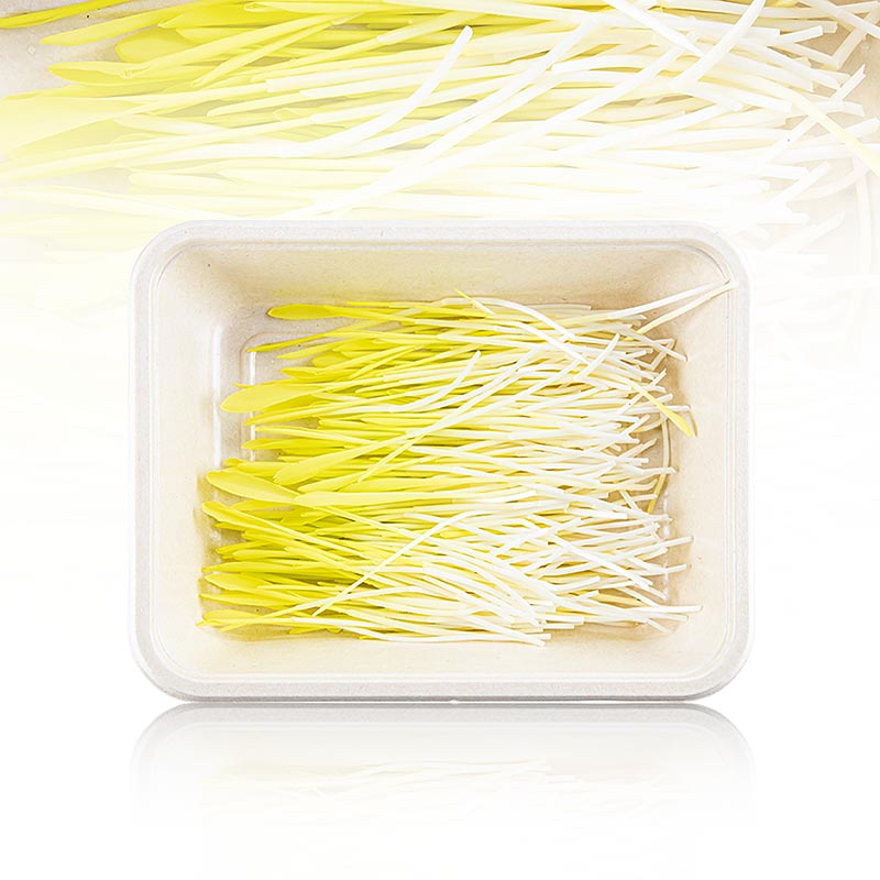 fullpakket med mikrogroent mais, veldig unge blader / froeplanter - 50 g - PE-skall fullpakket med mikrogroent mais, veldig unge blader / froeplanter - 50 g - PE-skall