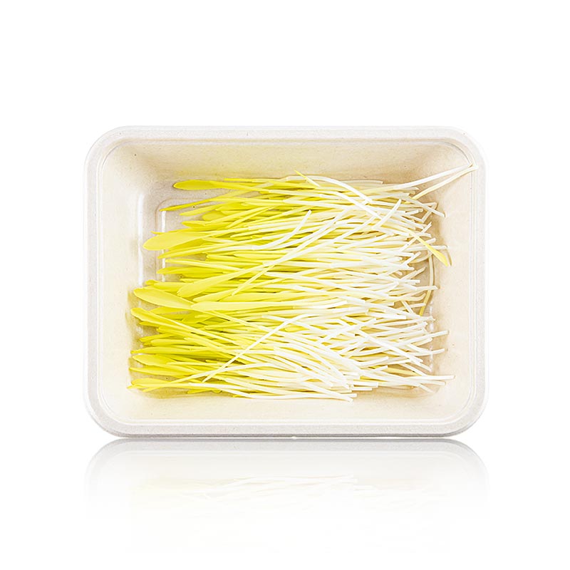 fullpakket med mikrogroent mais, veldig unge blader / froeplanter - 50 g - PE-skall fullpakket med mikrogroent mais, veldig unge blader / froeplanter - 50 g - PE-skall