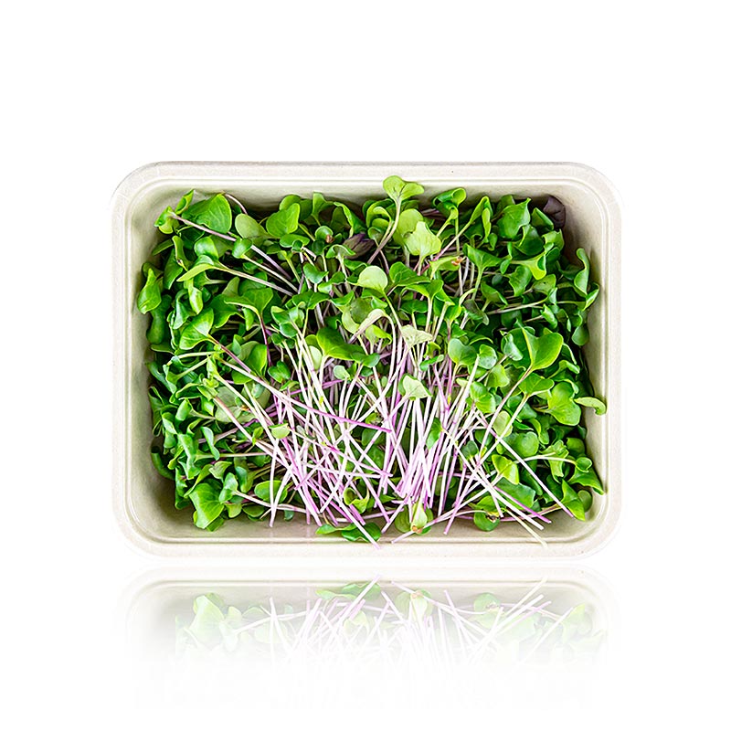 embalado com microgreens rabanetes verdes, folhas / mudas muito jovens - 100g - Concha PE
