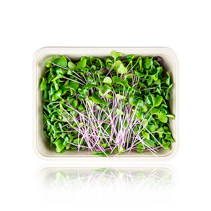 embalado com microgreens rabanetes verdes, folhas / mudas muito jovens - 100g - Concha PE embalado com microgreens rabanetes verdes, folhas / mudas muito jovens - 100g - Concha PE