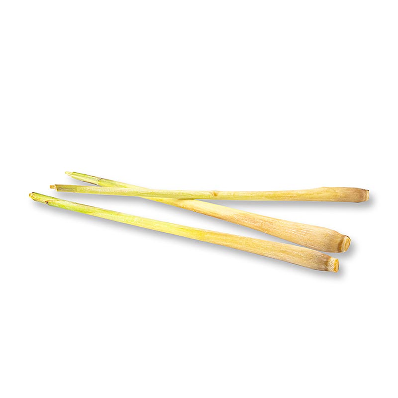 Capim-limao, com aproximadamente 17 cm de comprimento, fresco - 50g - Concha PE Capim-limao, com aproximadamente 17 cm de comprimento, fresco - 50g - Concha PE