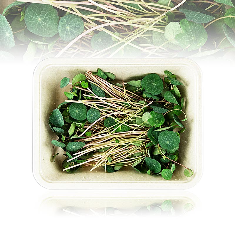 fullpakket med mikrogroent KapuchinerGreens, moerke, veldig unge blader/froeplanter - 50 g - PE-skall fullpakket med mikrogroent KapuchinerGreens, moerke, veldig unge blader/froeplanter - 50 g - PE-skall