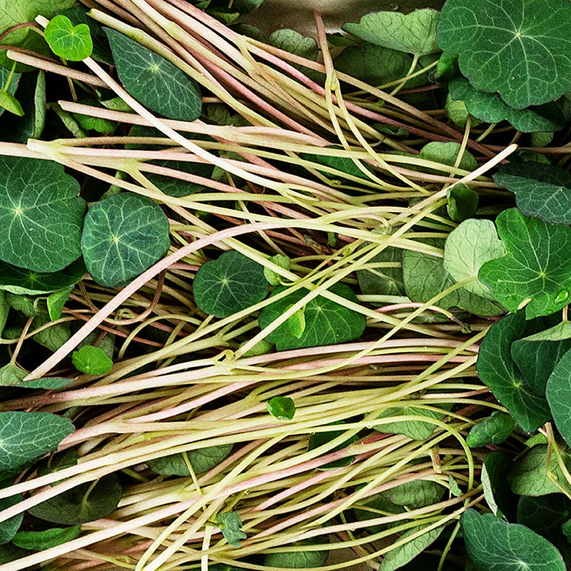 pakkadh medh orgraenum KapuchinerGraenum, dokkum, mjog ungum laufum / plontum - 50g - PE skel pakkadh medh orgraenum KapuchinerGraenum, dokkum, mjog ungum laufum / plontum - 50g - PE skel