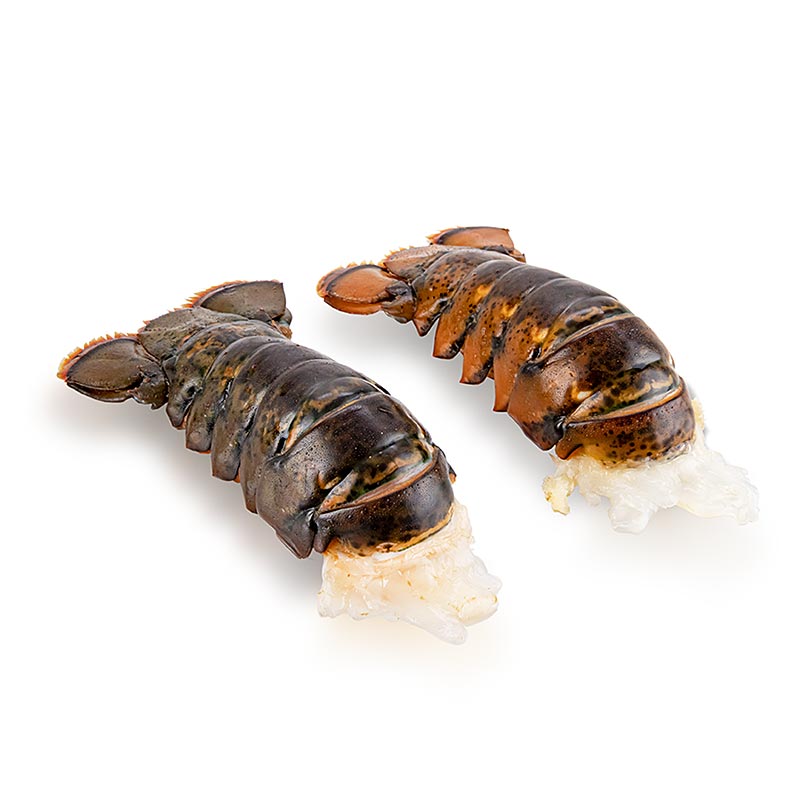 Daging lobster atlantik UHP, mentah, ekornya ada cangkangnya - 250g, 2 buah - kekosongan