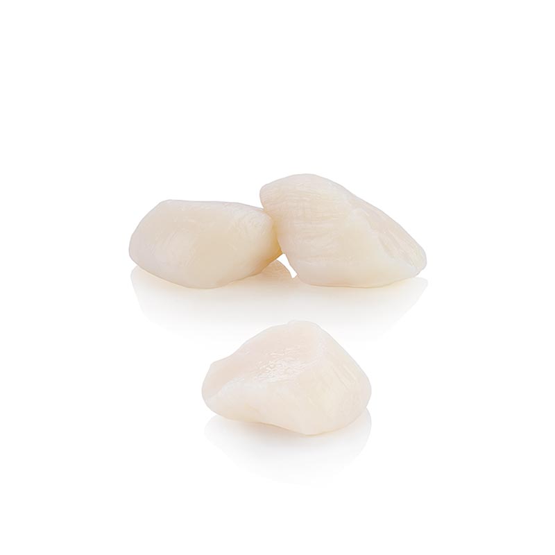 Ranskan kampasimpukat, ilman matia, rougie - noin 1000 g, 48 kpl - laukku Ranskan kampasimpukat, ilman matia, rougie - noin 1000 g, 48 kpl - laukku