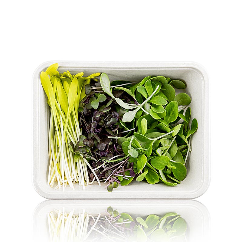fullpakket med Microgreens MIX MiniColorBox, 3 varianter av veldig unge blader / froeplanter - 90 g, 3 x 30 g - PE-skall