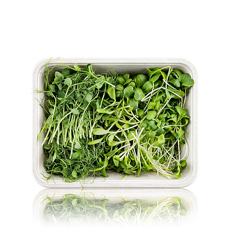 empaquetado con Microgreens MIX MiniGreenBox, 3 tipos de hojas / plantulas muy jovenes - 90 g, 3 x 30 g - carcasa de polietileno