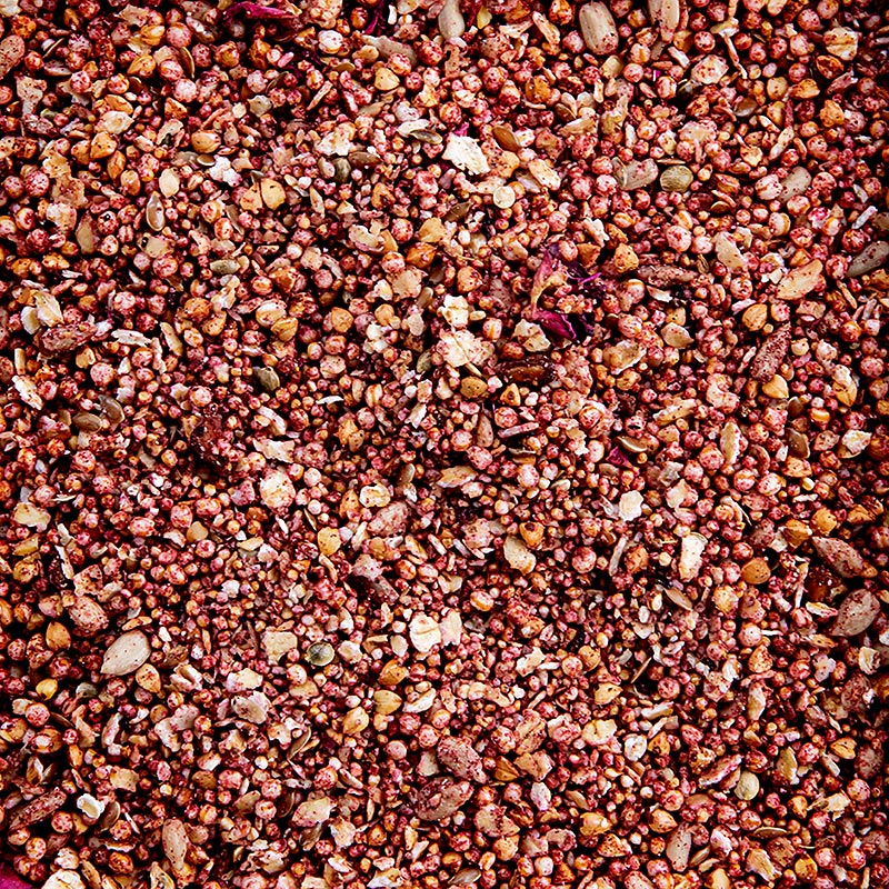 Guru Granola - Mencuria e shpirtit - 300 gr - cante Guru Granola - Mencuria e shpirtit - 300 gr - cante