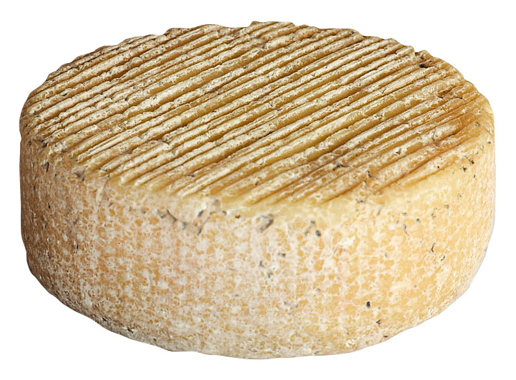 Moringhello, halvhard ost laget av pasteurisert boeffelmelk, Quattro Portoni - ca 600 g - kg