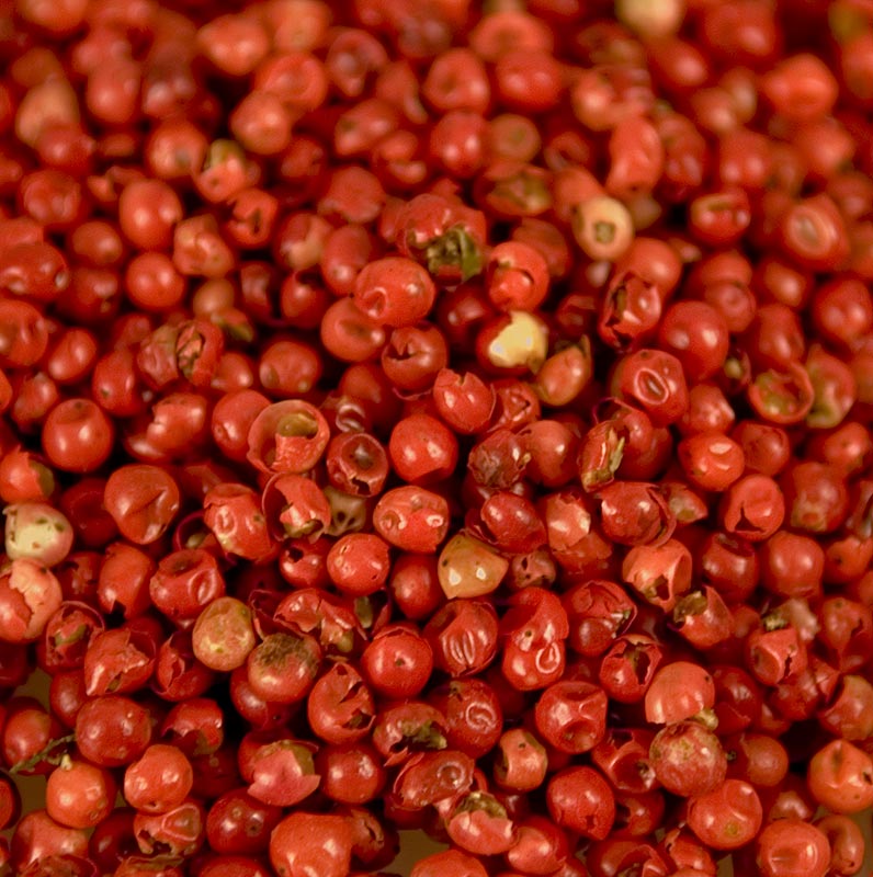 Roznati poper - Schinusove jagode, posusene - 1 kg - torba